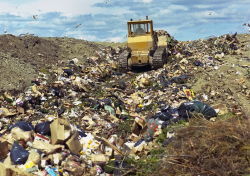 bulldozer_in_landfill